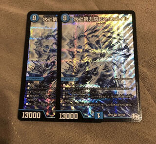 水上第九院 シャコガイル SE ２枚