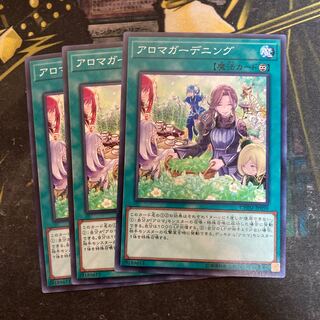 マドレース5774アロマガーデニング ノーマル