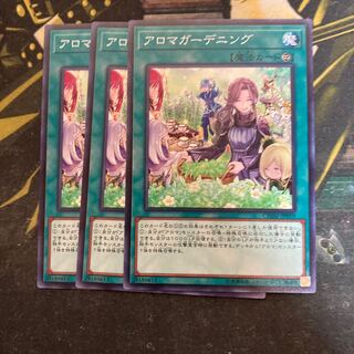 マドレース5775アロマガーデニング ノーマル