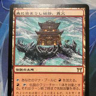 血に染まりし城砦、真火/ 日本語１枚　①