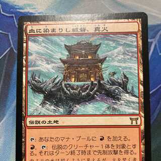 血に染まりし城砦、真火/ 日本語１枚　②