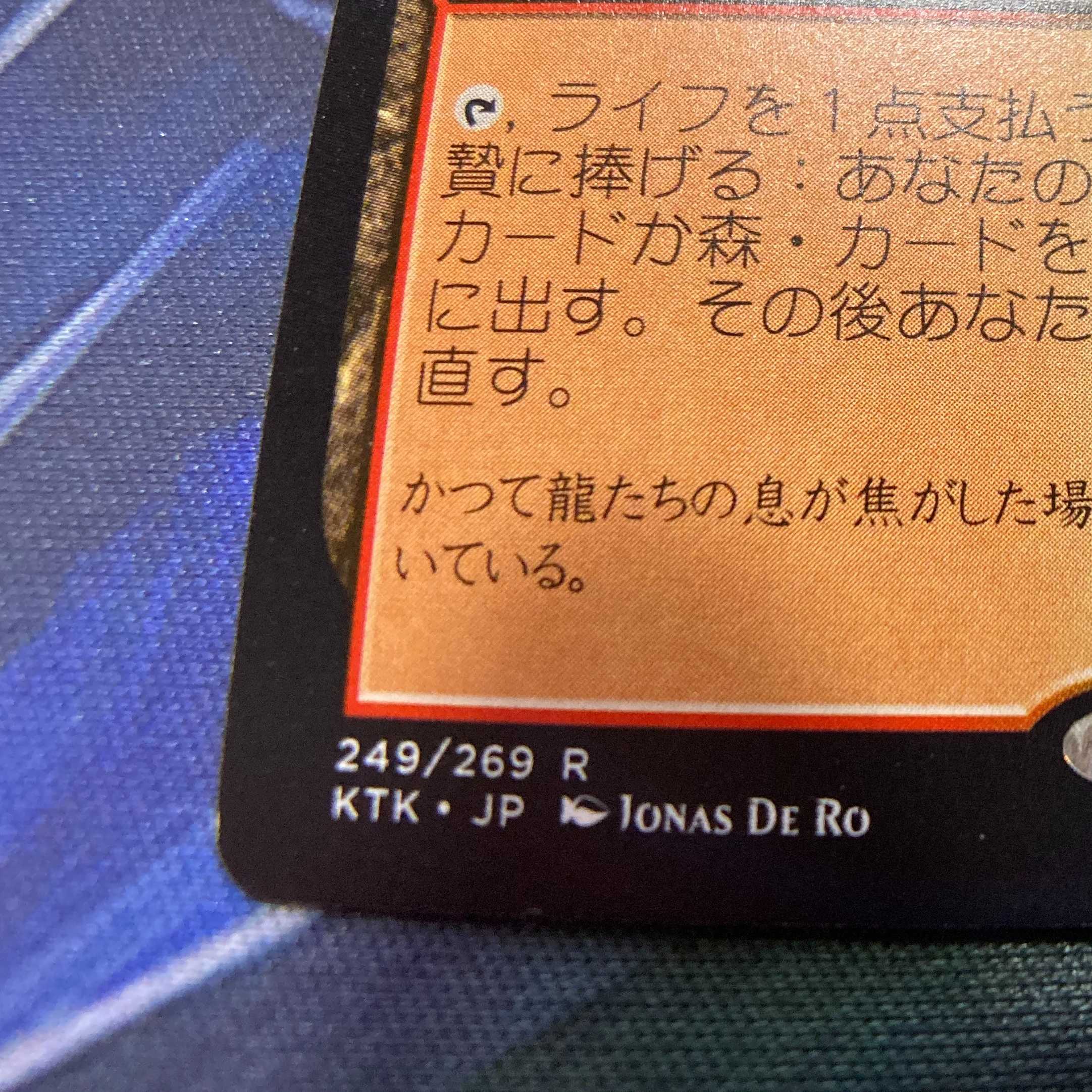 MTG「KTK」樹木茂る山麓/Wooded Foothills 日本語1枚