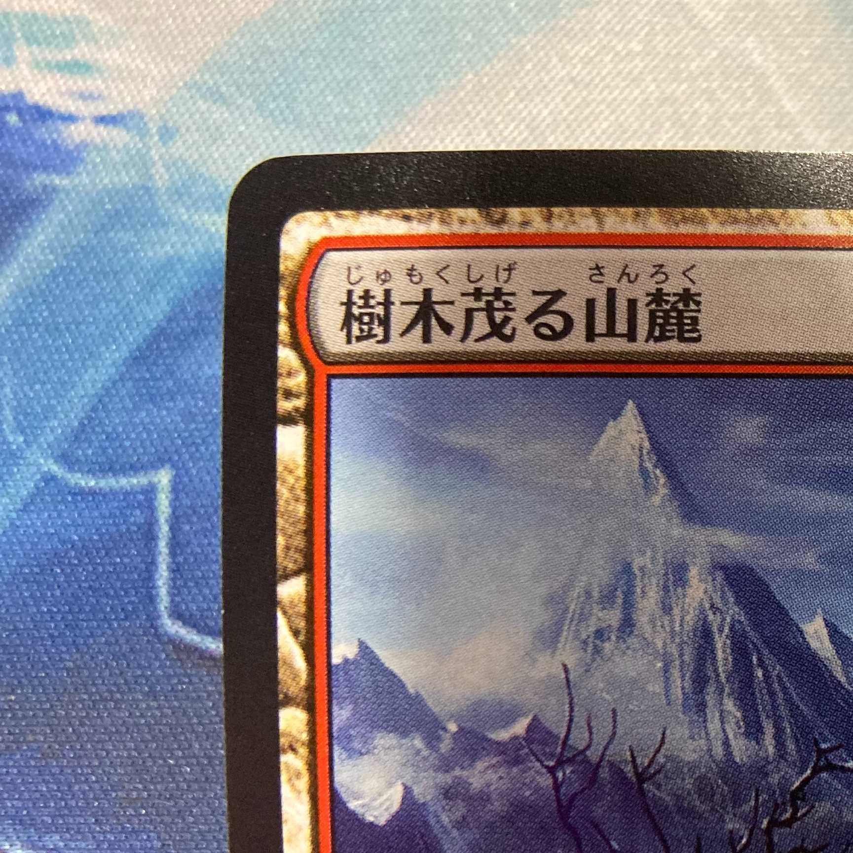MTG「KTK」樹木茂る山麓/Wooded Foothills 日本語1枚