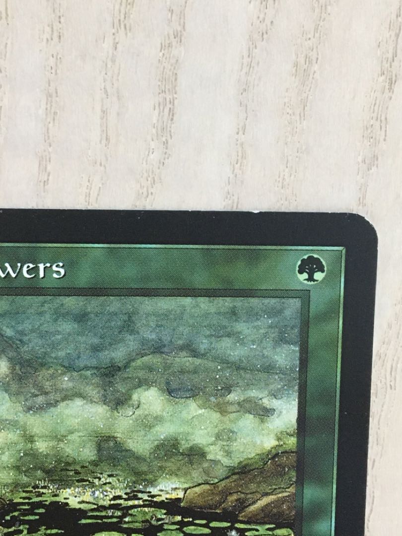 MtG 花の絨毯/ Carpet of Flowers