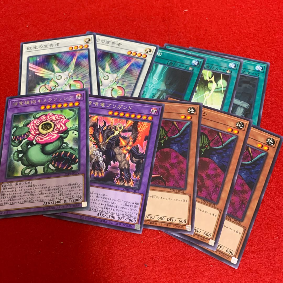 虹光の宣告者 ゲールドグラ など