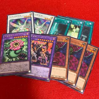 虹光の宣告者　ゲールドグラ　など