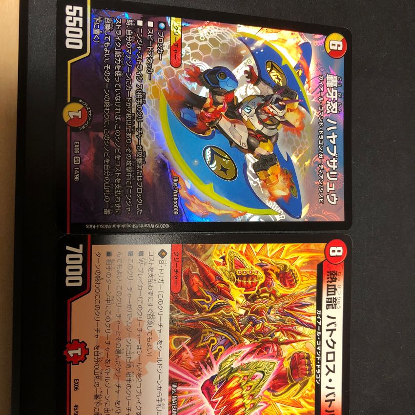 轟牙忍 ハヤブサリュウ