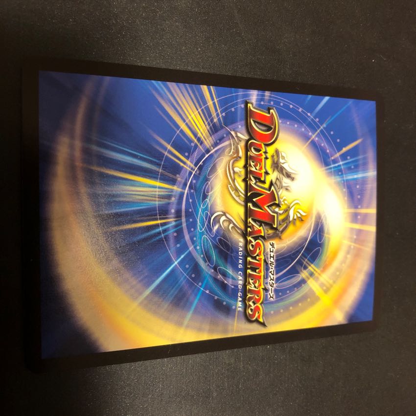 轟牙忍 ハヤブサリュウ