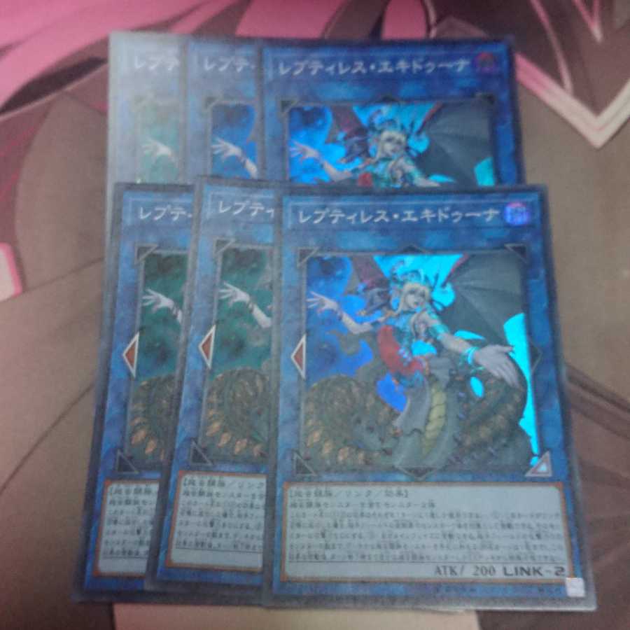 レプティレス・エキドゥーナ スーパーレア 6枚