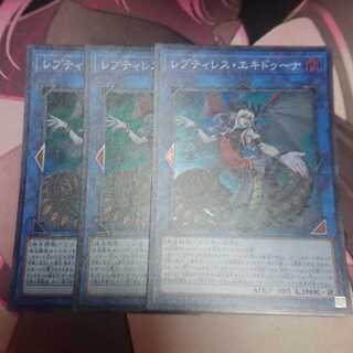 TKGさん用 レプティレス・エキドゥーナ スーパーレア 3枚
