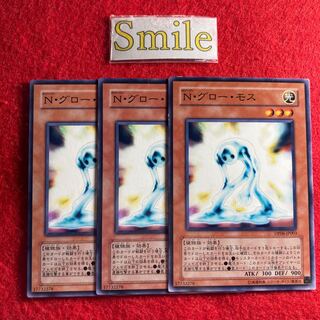 N・グロー・モス#748