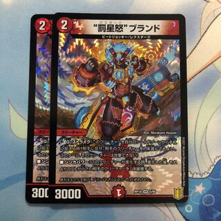 “罰星怒”ブランド　2枚