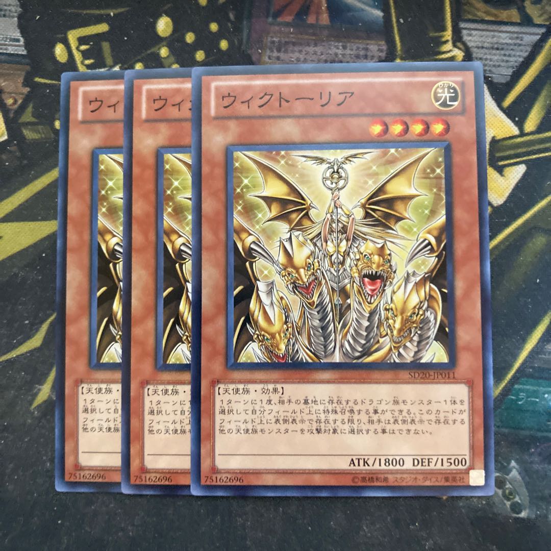 マドレース5864ウィクトーリア ノーマル