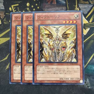 マドレース5864ウィクトーリア ノーマル