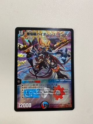 極仙龍バイオレンス・サンダー