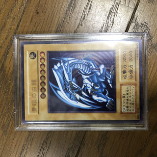 Snubbull Eyeshoe Wight Dragon