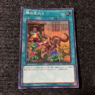 隣の芝刈り スーパーレア