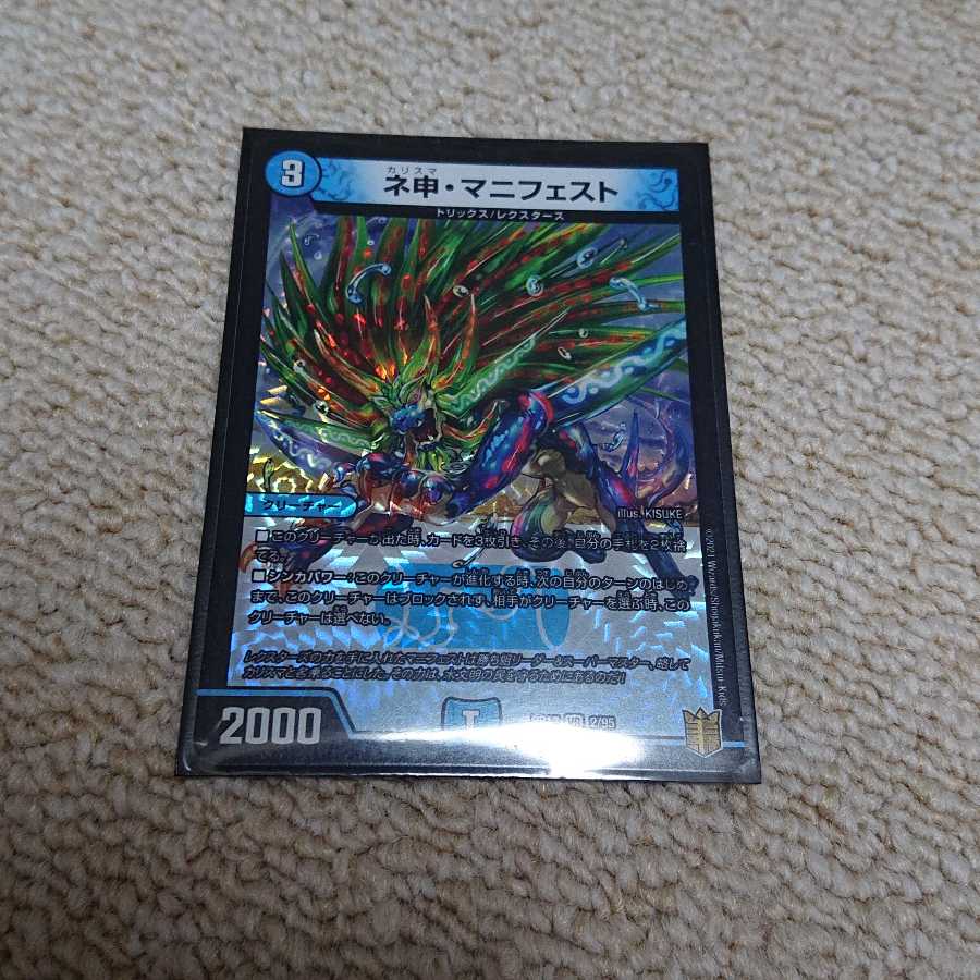 ネ申・マニフェスト