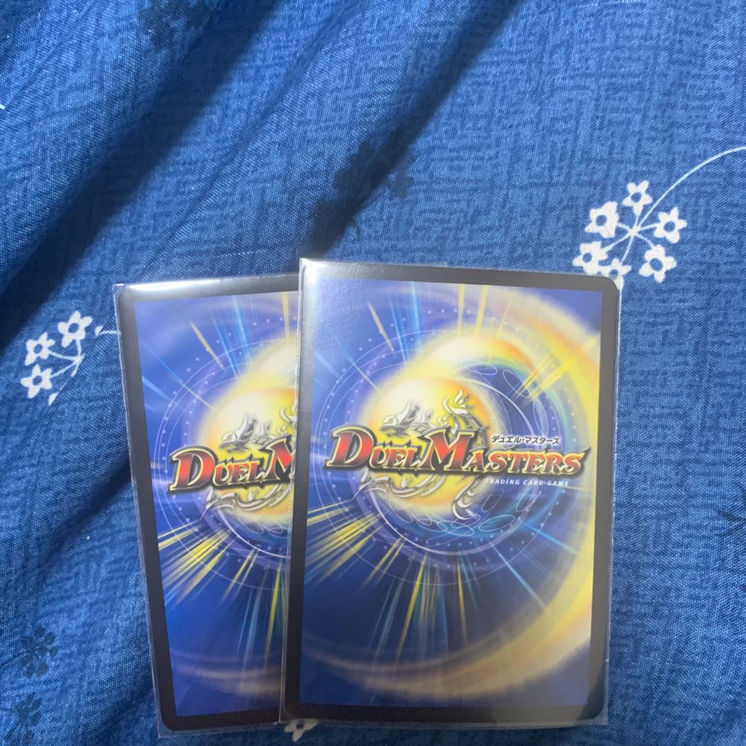 煌星龍 サッヴァーク