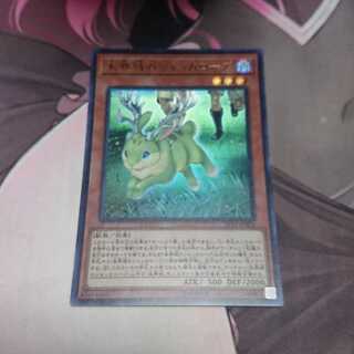 未界域のジャッカロープ ウルトラレア
