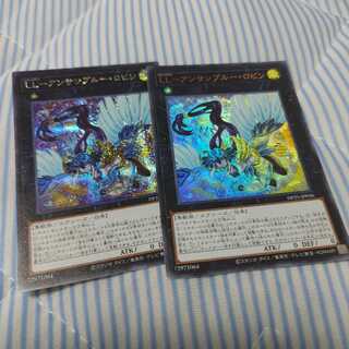 LL-アンサンブルー・ロビン　二枚