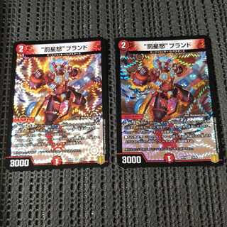 専用出品です_(._.)_“罰星怒”ブランド VR　×2