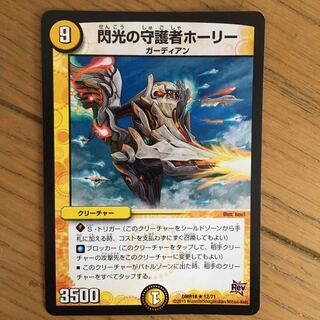 ホーリー 専用 1枚