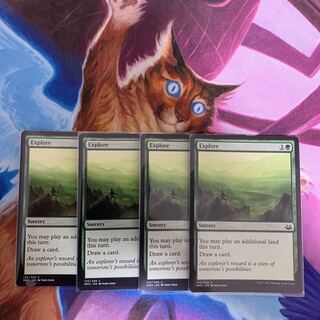 探検　英語　4枚①