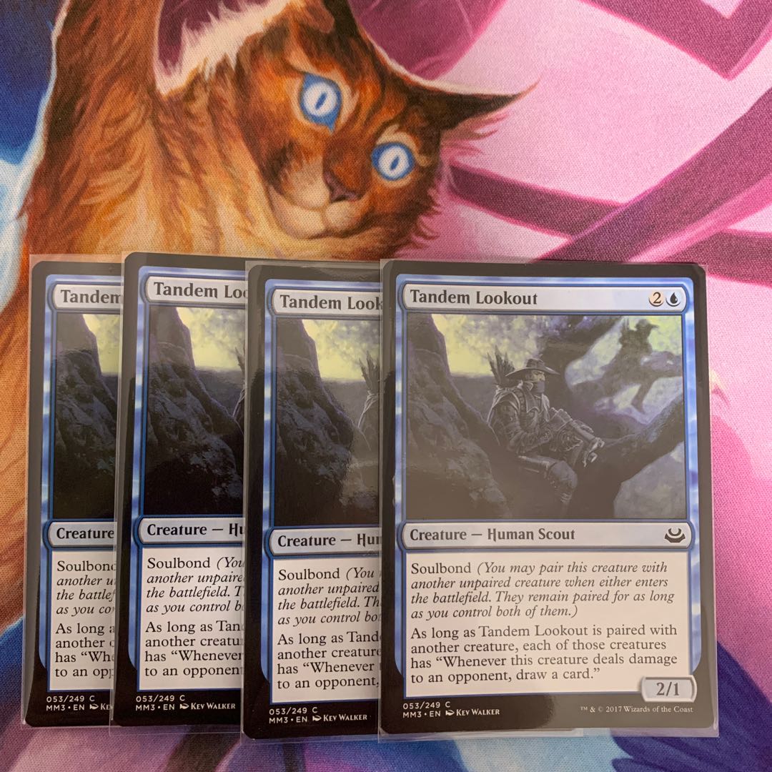 Tandem Lookout English 4 (2)