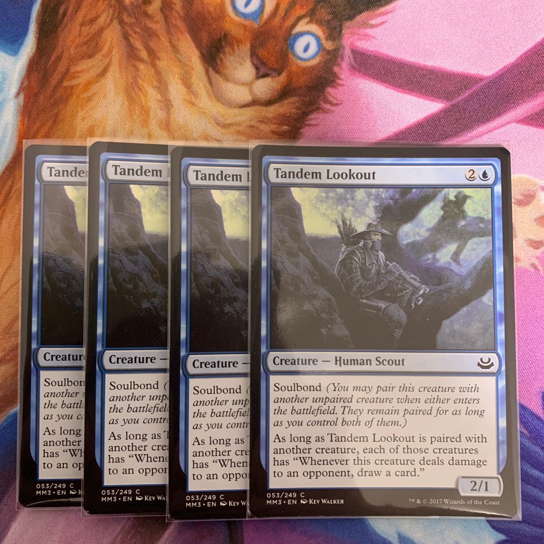 Tandem Lookout English 4 (3)