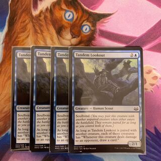 Tandem Lookout English 4 (3)