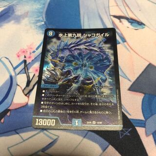 水上第九院 シャコガイル