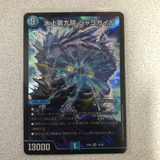 水上第九院 シャコガイル