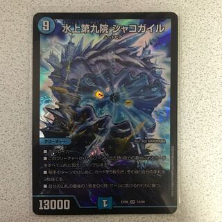 水上第九院 シャコガイル