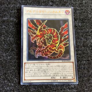 アルティマヤ・ツィオルキン ウルトラレア