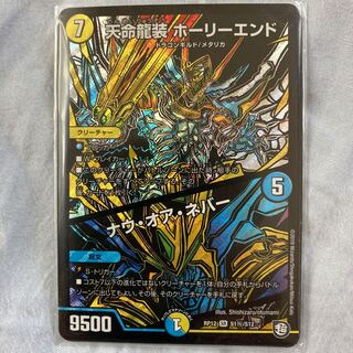 天命龍装 ホーリーエンド/ナウ・オア・ネバー シク