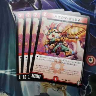 ハエタタ・チュリス C