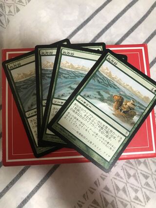 北方行 4枚セット