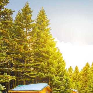 レアリティレジスタンス1枚