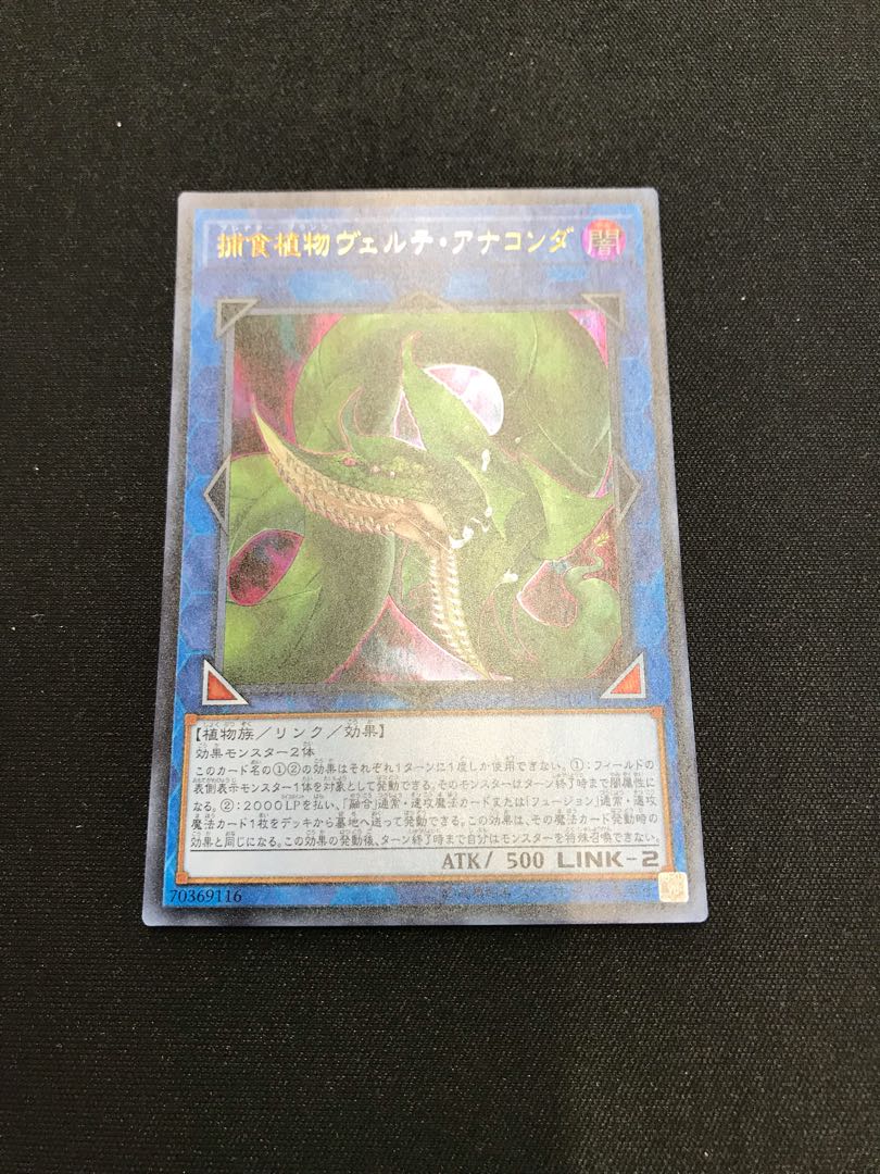 捕食植物ヴェルテ・アナコンダ ウルトラレア