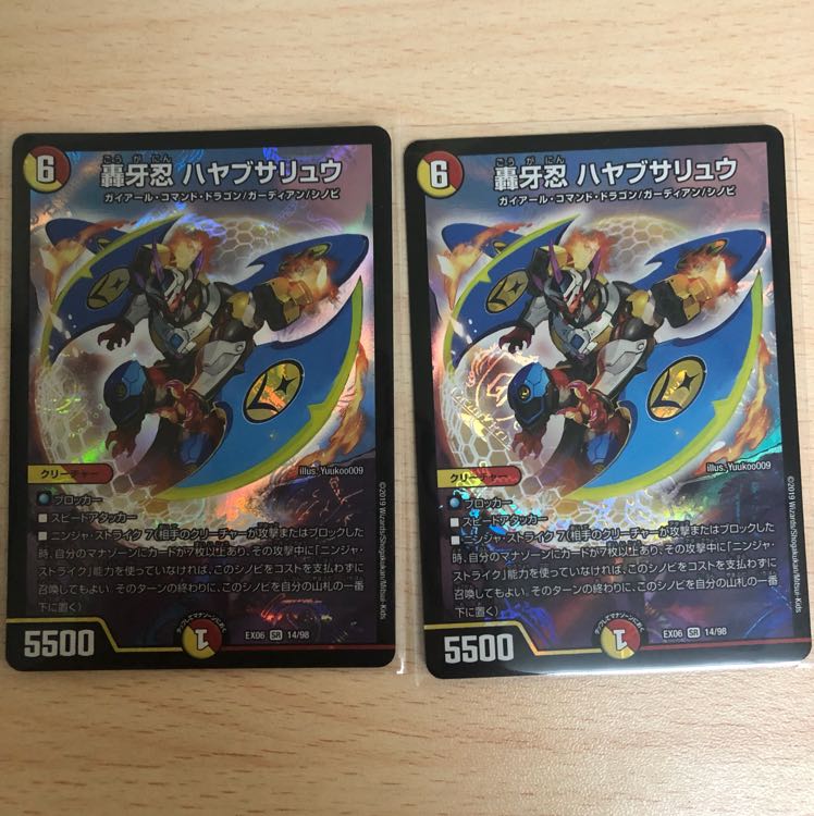 ハヤブサリュウ2枚セット