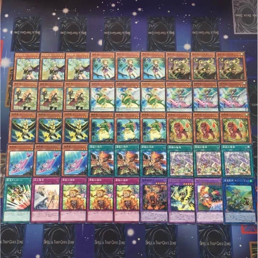 Yu-Gi-Oh! Reiju deck!