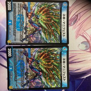 ネ申・マニフェスト 2枚セット プレイ用