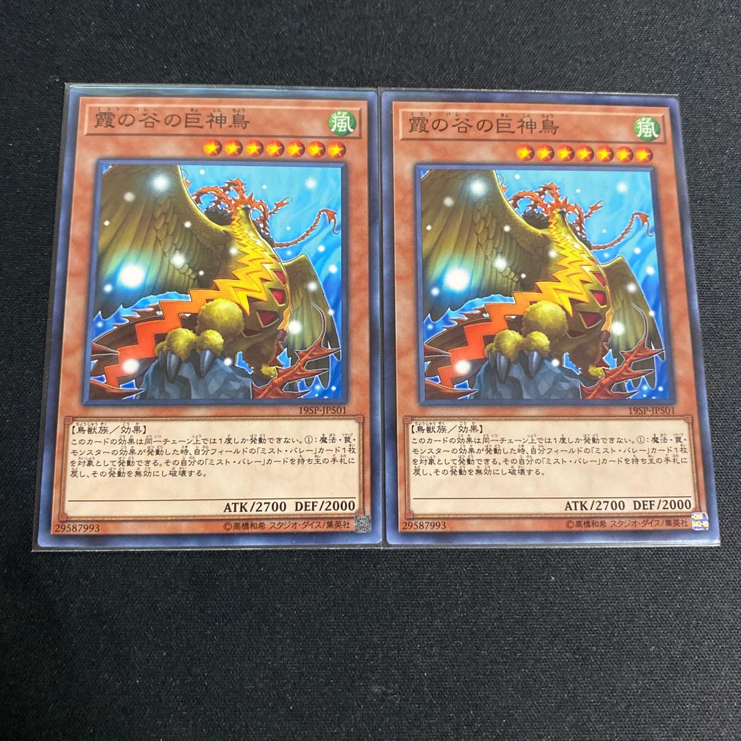 霞の谷の巨神鳥