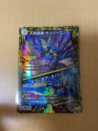 天命龍装 ホーリーエンド｜ナウ・オア・ネバー(20thレア仕様) a