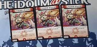 ハエタタ・チュリス　3枚