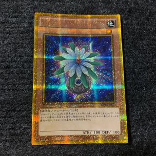 グローアップ・バルブ ゴールドシークレットレア