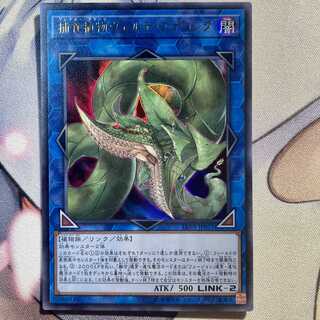 捕食植物ヴェルテ・アナコンダ ウルトラレア