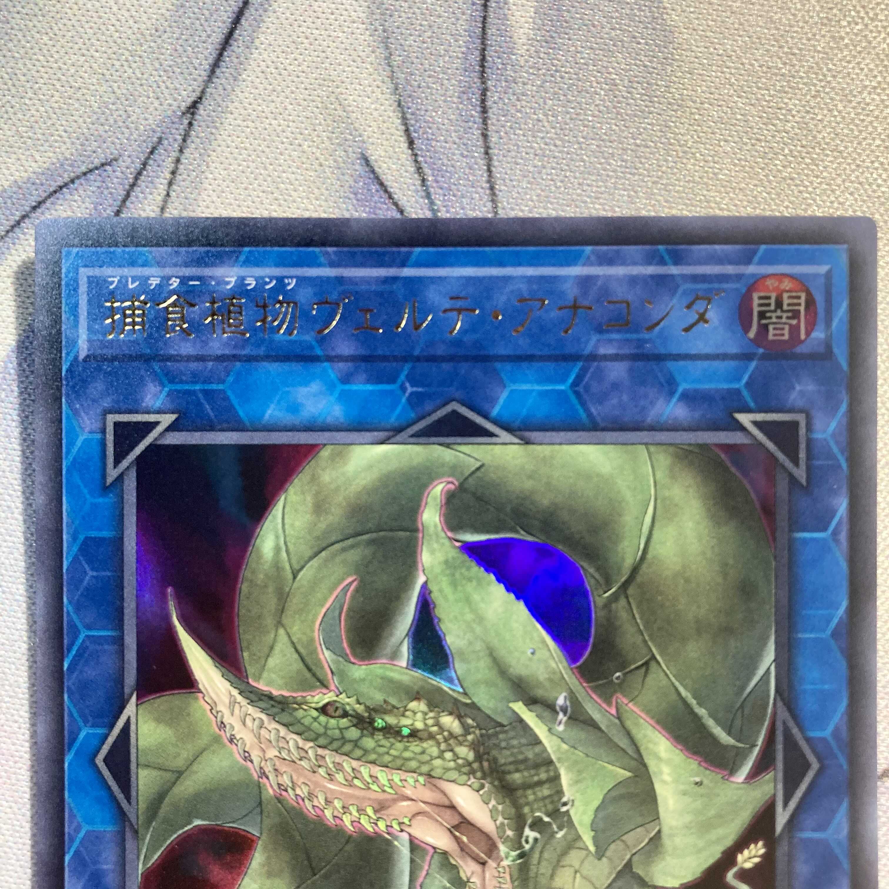 捕食植物ヴェルテ・アナコンダ ウルトラレア