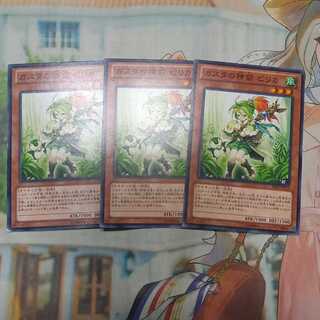 ガスタの神裔 ピリカ 　】ノーマル　三枚